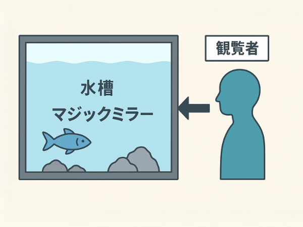 マジックミラーについての図解イラスト
