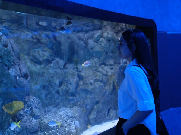 水槽内の魚を見ている黒髪ロングの女性