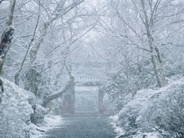 雪景色の境内