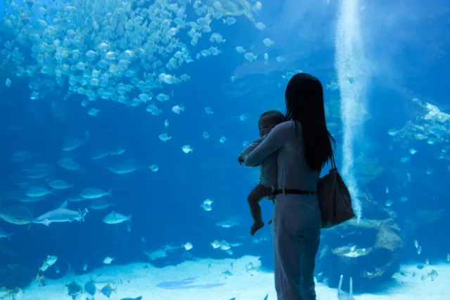 水族館の水槽を眺める赤ちゃんと母親