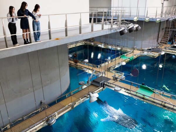 バックヤードツアー